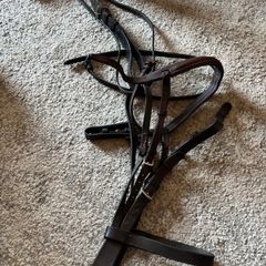 Bridle and various tack accessories