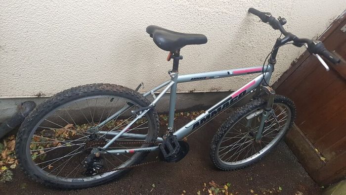 Mountain bike