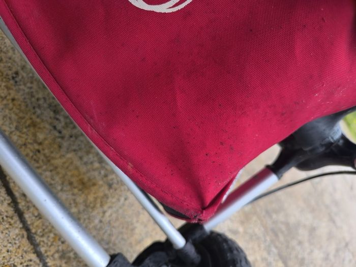 pram  pushchair bugaboo