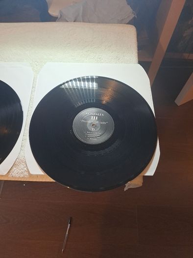 Vinyl Gonzales111 Preidential Suite