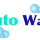 Auto wash