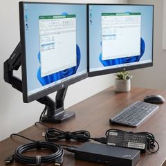 HP G4 23.8 Monitor bundle