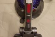 Dyson big ball animal 2