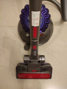 Dyson big ball animal 2