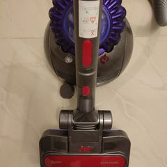 Dyson big ball animal 2