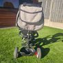 Buggy Trike Image 2