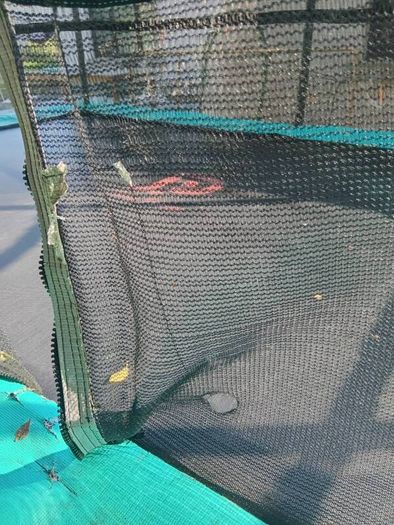 Trampoline 12 x 8