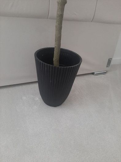 Olive Artifical Tree