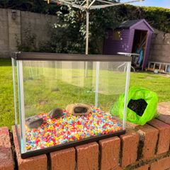 perfect starter fishtank