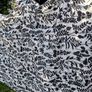 1 Curtain Image 4