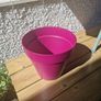 Planter Image 2