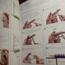 DK /KNIT Step by Step  / 2012 Image 8