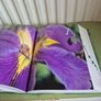 Flora The Gardener's Bible with CD Image 10