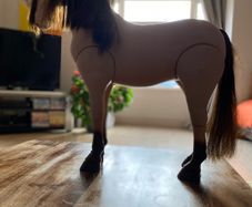 Our Generation Horse