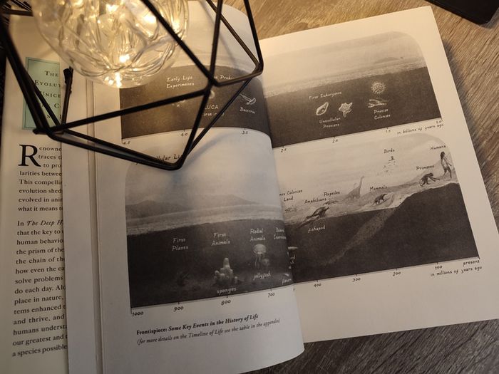 The Deep History of Ourselves: The Four-Billion-Year Story of How We Got Conscious Brains ! Hardcover ! 2019 ! by Viking !