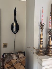 Pelican wall light with bulb and plug