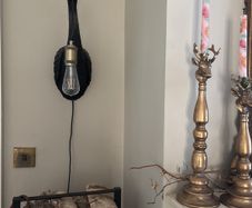 Pelican wall light with bulb and plug
