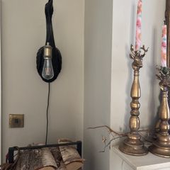Pelican wall light with bulb and plug