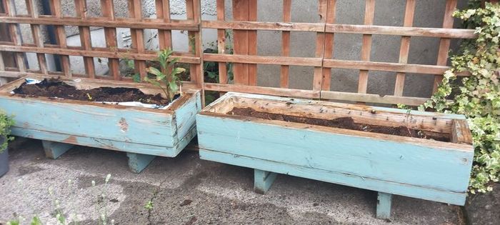 Planters