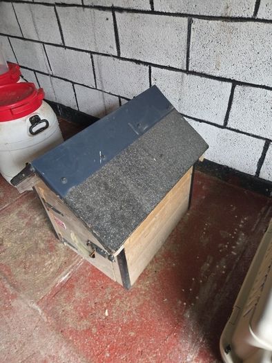 dog house