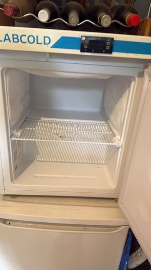 Mini Freezer
