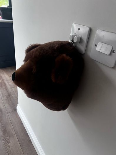 Bear plush wall mount
