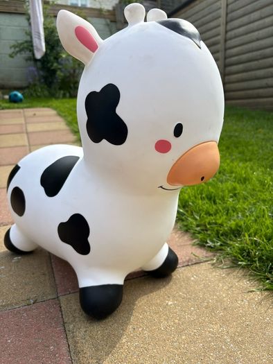 toy