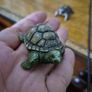 2 collectible turtle figurines Image 3