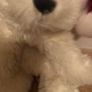 White Christmas teddy Image 2