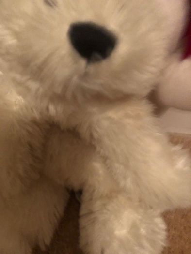 White Christmas teddy