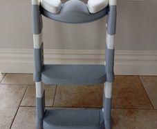 Potty Ladder