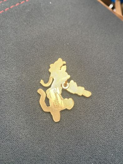 Disneyland Pin