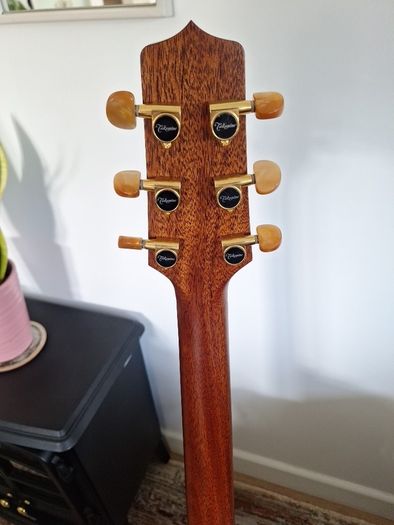 takamine P3NC