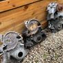Rover V8 / Buick 300 engine / P5b car  parts Image 6