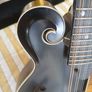 Coostar F5 Mandolin Image 3