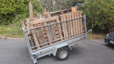 free firewood