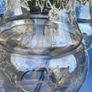 3 vintage glass light shades Image 3