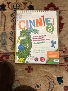 Cinnte 3 leaving cert
