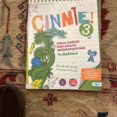 Cinnte 3 leaving cert