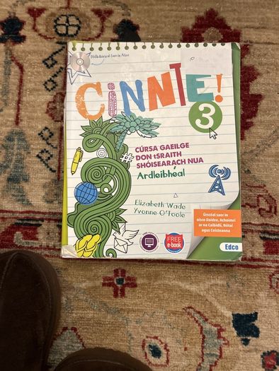 Cinnte 3 leaving cert