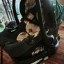 Cosatto Wiggle 4 - 3in1 Travel System Image 4