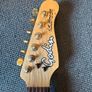 Godin Acousticaster Image 2