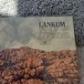 Lankum 2 double vinyl see description Image 3