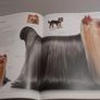 Dog encyclopedia Image 2