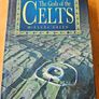 The Gods Of The Celts. By Miranda Green.  First Edition Hardback With Dustjacket In Good Condition See Photos For Same Image 2