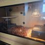HabiStat vivarium Image 2