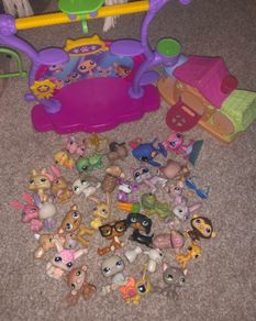 Littlest pet shop