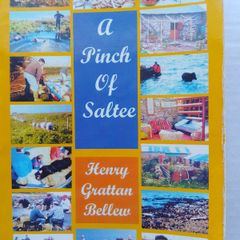 A Pinch Of Saltee