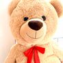 Giant Teddy Bear Image 3