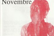 RAW NOVEMBRE Disturbed CD Old Irish Band